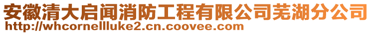 安徽清大啟聞消防工程有限公司蕪湖分公司