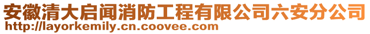 安徽清大啟聞消防工程有限公司六安分公司