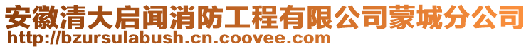 安徽清大啟聞消防工程有限公司蒙城分公司