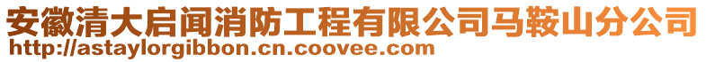 安徽清大啟聞消防工程有限公司馬鞍山分公司