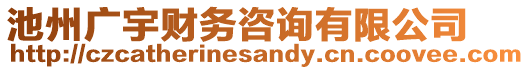 池州廣宇財(cái)務(wù)咨詢有限公司