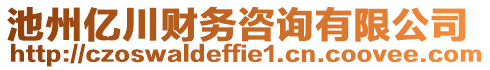 池州億川財(cái)務(wù)咨詢有限公司