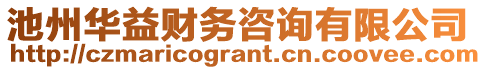 池州華益財務咨詢有限公司