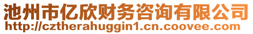 池州市億欣財務咨詢有限公司