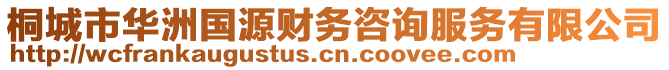 桐城市華洲國(guó)源財(cái)務(wù)咨詢服務(wù)有限公司