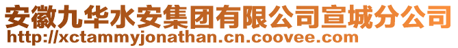 安徽九華水安集團有限公司宣城分公司