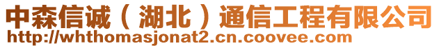 中森信誠（湖北）通信工程有限公司