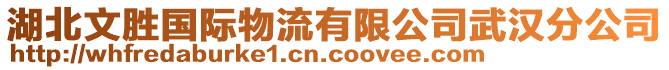 湖北文勝國際物流有限公司武漢分公司