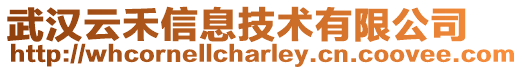 武漢云禾信息技術有限公司