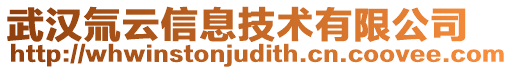 武漢氚云信息技術有限公司