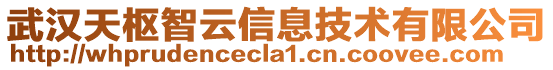 武漢天樞智云信息技術有限公司