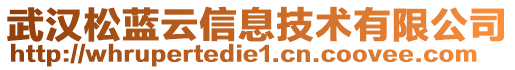 武漢松藍云信息技術有限公司