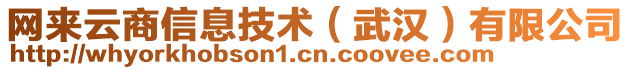 網來云商信息技術(武漢)有限公司