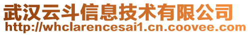 武漢云斗信息技術有限公司
