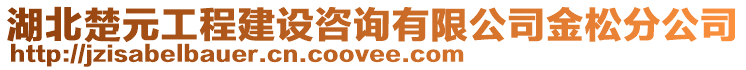 湖北楚元工程建設(shè)咨詢有限公司金松分公司