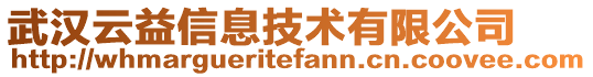 武漢云益信息技術有限公司