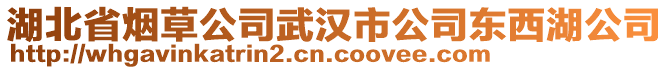 湖北省煙草公司武漢市公司東西湖公司