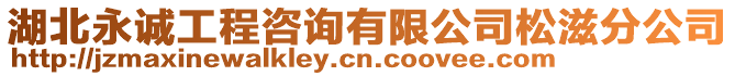 湖北永誠工程咨詢有限公司松滋分公司