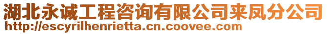 湖北永誠(chéng)工程咨詢有限公司來(lái)鳳分公司