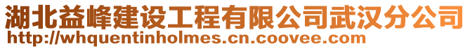 湖北益峰建設(shè)工程有限公司武漢分公司