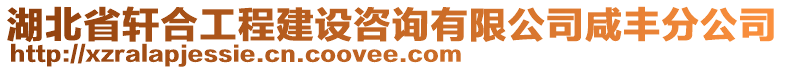 湖北省軒合工程建設(shè)咨詢有限公司咸豐分公司