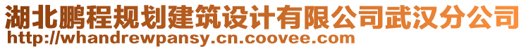 湖北鵬程規劃建筑設計有限公司武漢分公司