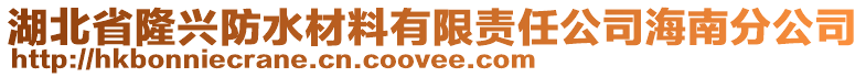湖北省隆興防水材料有限責(zé)任公司海南分公司