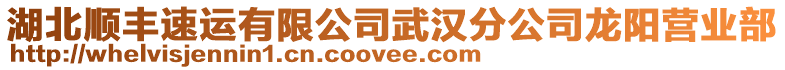湖北順豐速運有限公司武漢分公司龍陽營業部