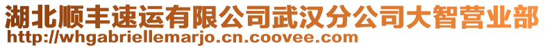 湖北順豐速運(yùn)有限公司武漢分公司大智營(yíng)業(yè)部