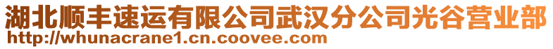 湖北順豐速運有限公司武漢分公司光谷營業(yè)部