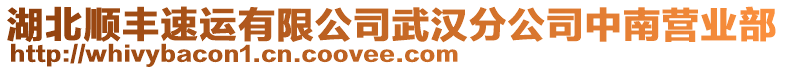 湖北順豐速運有限公司武漢分公司中南營業(yè)部