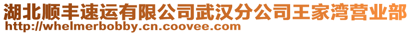 湖北順豐速運有限公司武漢分公司王家灣營業部