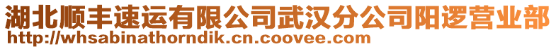 湖北順豐速運有限公司武漢分公司陽邏營業部