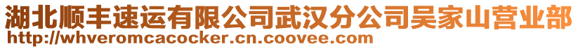 湖北順豐速運有限公司武漢分公司吳家山營業部