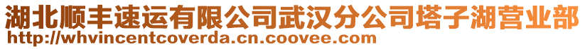 湖北順豐速運有限公司武漢分公司塔子湖營業(yè)部