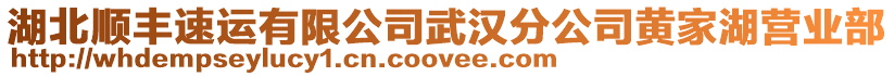 湖北順豐速運(yùn)有限公司武漢分公司黃家湖營(yíng)業(yè)部