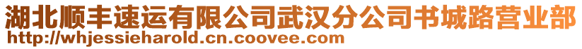 湖北順豐速運有限公司武漢分公司書城路營業(yè)部