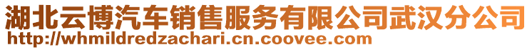 湖北云博汽車銷售服務(wù)有限公司武漢分公司