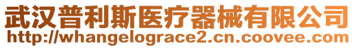 武漢普利斯醫(yī)療器械有限公司