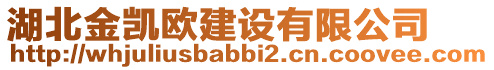 湖北金凱歐建設有限公司