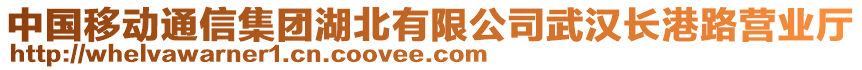 中國移動通信集團湖北有限公司武漢長港路營業(yè)廳