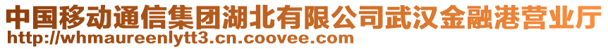 中國移動(dòng)通信集團(tuán)湖北有限公司武漢金融港營業(yè)廳