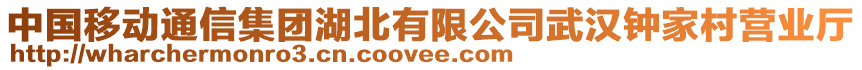 中國移動通信集團(tuán)湖北有限公司武漢鐘家村營業(yè)廳
