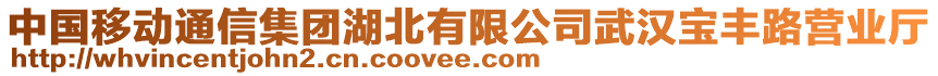 中國移動通信集團湖北有限公司武漢寶豐路營業(yè)廳