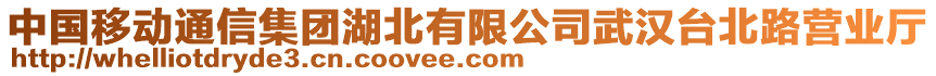 中國移動通信集團(tuán)湖北有限公司武漢臺北路營業(yè)廳