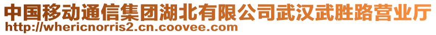 中國移動通信集團湖北有限公司武漢武勝路營業(yè)廳