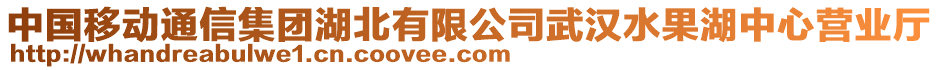 中國移動(dòng)通信集團(tuán)湖北有限公司武漢水果湖中心營業(yè)廳
