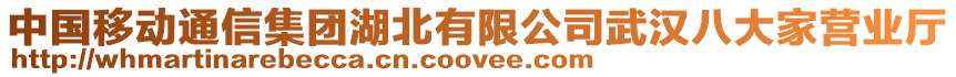 中國(guó)移動(dòng)通信集團(tuán)湖北有限公司武漢八大家營(yíng)業(yè)廳