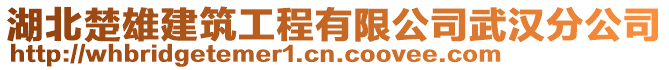 湖北楚雄建筑工程有限公司武漢分公司