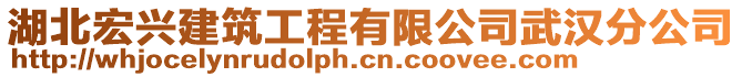 湖北宏興建筑工程有限公司武漢分公司